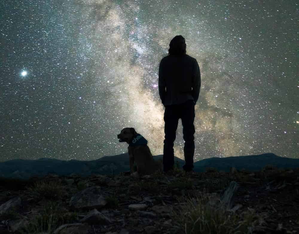 犬と夜 イメージ