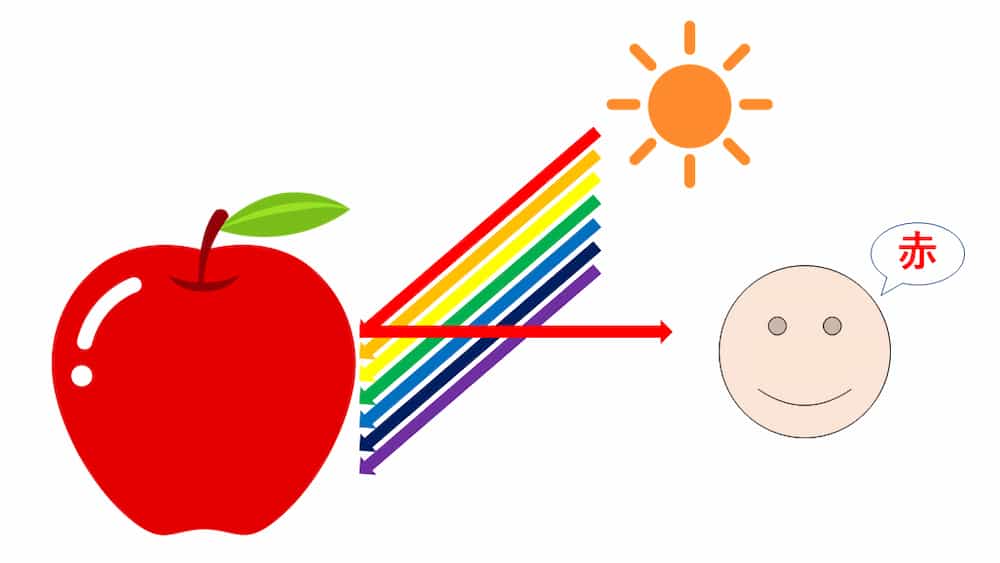 光の反射と赤いリンゴ
